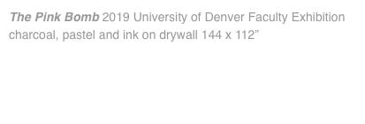 The Pink Bomb 2019 University of Denver Faculty Exhibition charcoal, pastel and ink on drywall 144 x 112” 