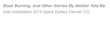 Book Burning: And Other Stories My Mother Told Me Solo Installation 2018 Spark Gallery Denver CO 