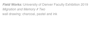 Field Works: University of Denver Faculty Exhibition 2019 Migration and Memory # Two wall drawing: charcoal, pastel and ink 